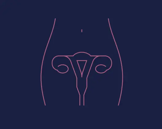 Descarga nuestra guía para aprender todo lo necesario para tener una vagina sana